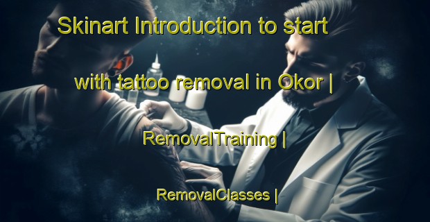 Skinart Introduction to start with tattoo removal in Okor | RemovalTraining | RemovalClasses | SkinartTraining-Nigeria